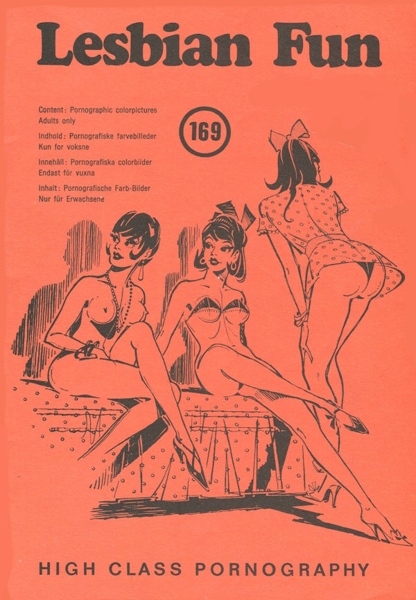 Lesbian Fun # 169 (1973) framsida