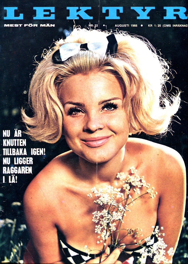 Lektyr # 33 (1966) framsida