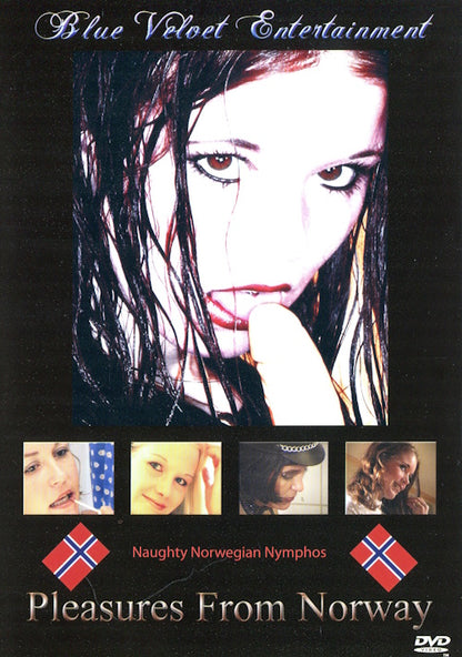 DVD - Pleasures from Norway (Naughty Norwegian Nymphos) framsida