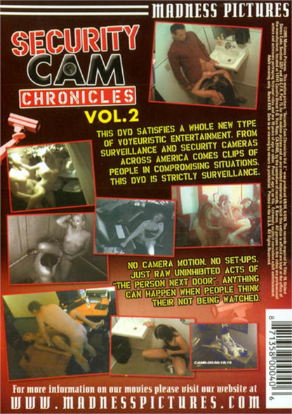 DVD - Security Cam Chronicles Vol. 2 back cover