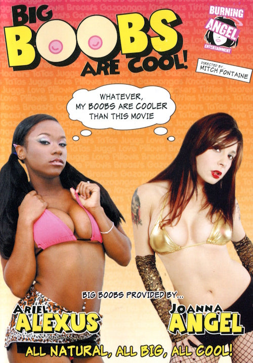 DVD - Burning Angel Entertainment - P.O.V. Punx 2 framsida