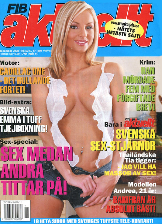 Fib Aktuellt - December 2008 framsida