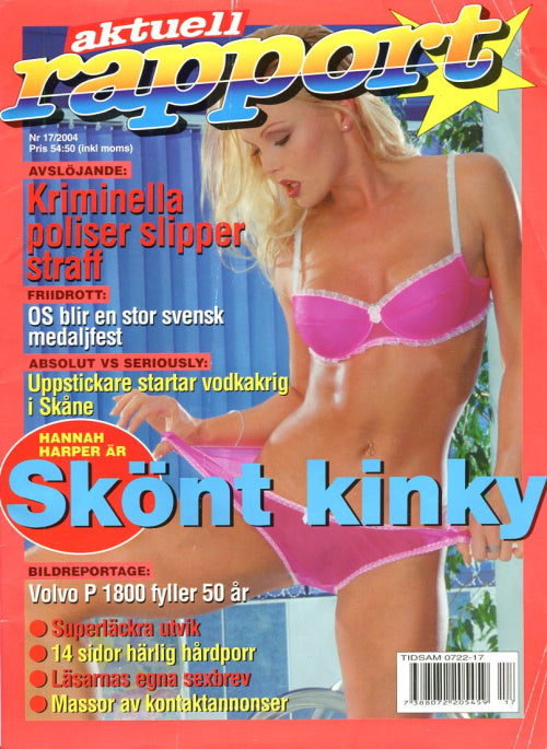 Aktuell Rapport # 17 (2004)